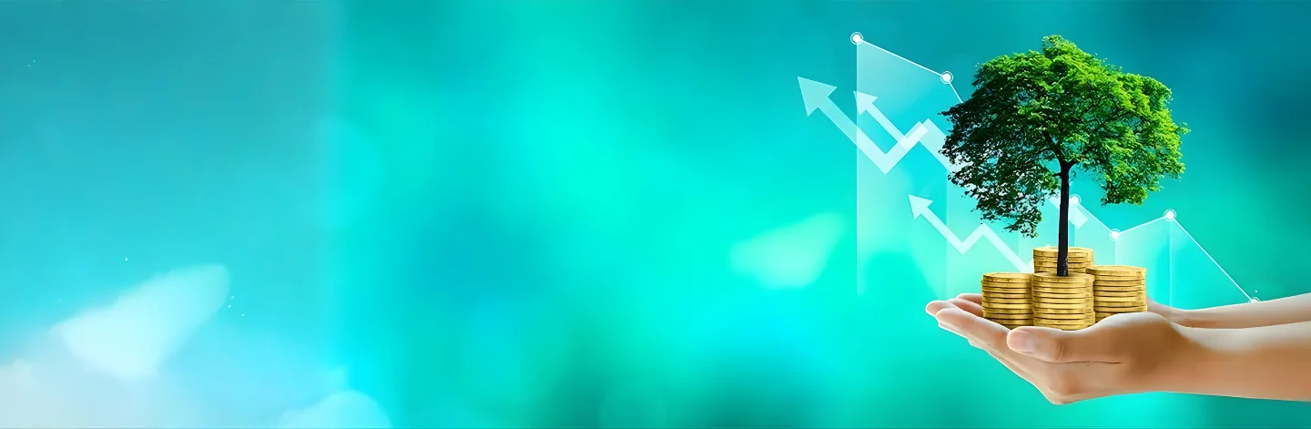 About Banner